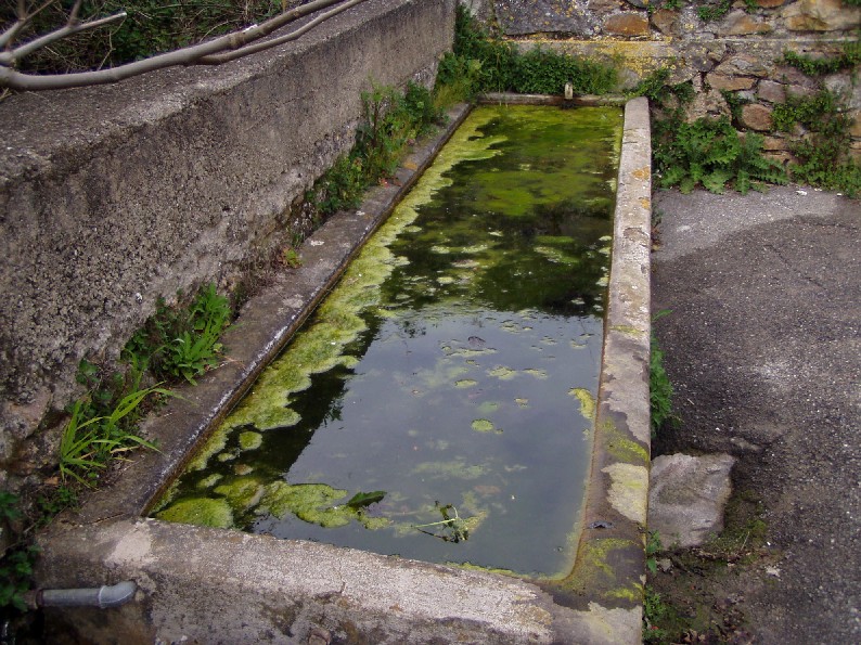 Fontanili della Toscana